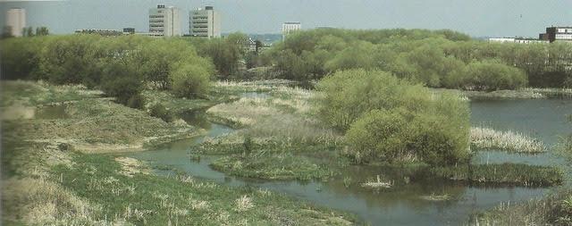 Photo of the Welsh Harp in the 80s by Leo Batten